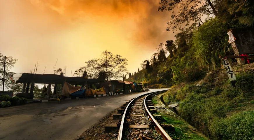 Darjeeling 6