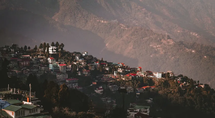 Darjeeling 7